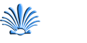 Fıskiye Dünyası