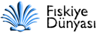 Fıskiye Dünyası