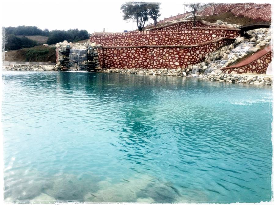 Huzur Veren Havuz Tasarımları