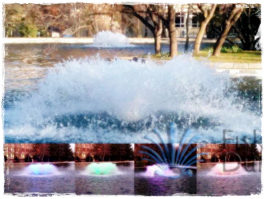 Dubalı Gölet Fıskiyeleri