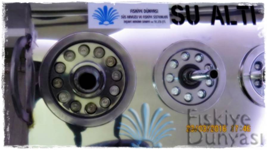 Su Altı Armatürleri