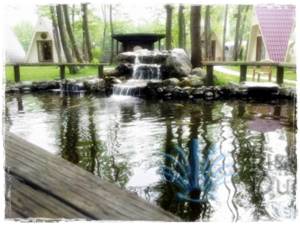 Süs Havuzu Yapan Firmalar