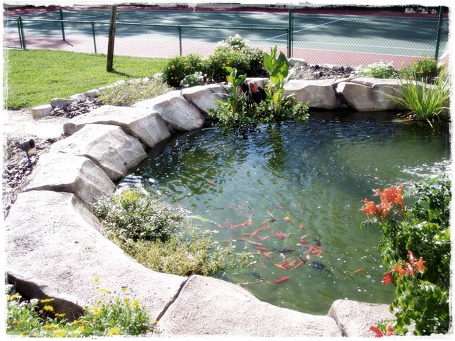 İşinin Uzmanından Havuz Tasarımı