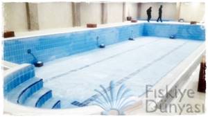Yüzme Havuzu
