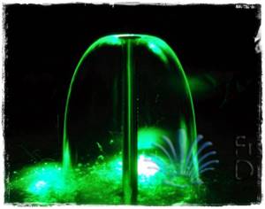 Su Çanı ve Zambak Fıskiyeler