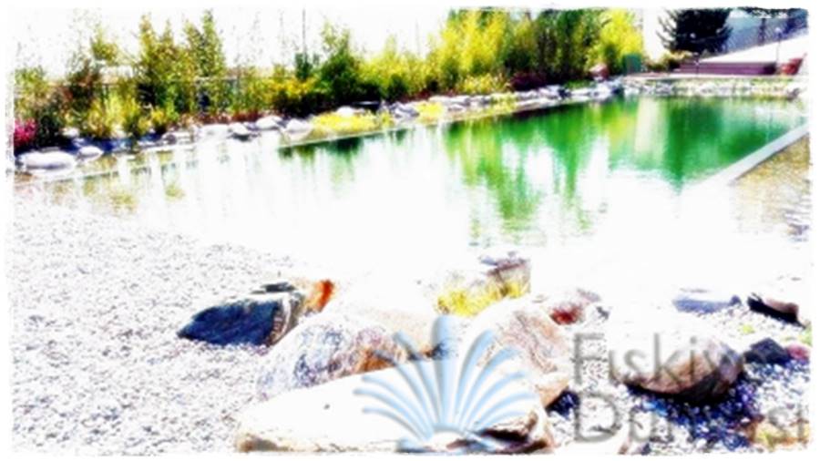 Süs Havuzu Yapan Firmalar