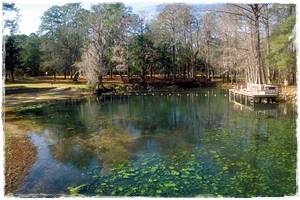 Biyolojik Gölet Fiyatları