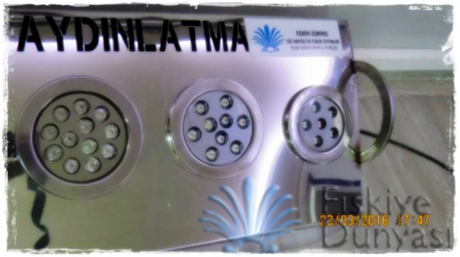 Su Altı Armatürleri