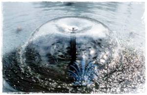 Su Çanı ve Zambak Fıskiyeler